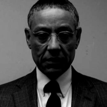 Gus Fring Reference